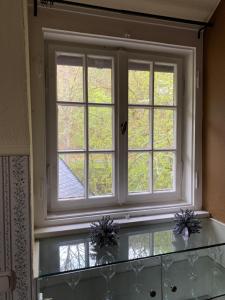 a window in a room with flowers on a glass shelf at Haus Rheinberg Gästehaus in Lorch am Rhein