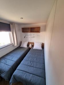萊格卡弗爾雷的住宿－La cabane oceane，小型客房设有2张蓝色的床和窗户。