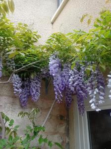 a bunch of purple flowers hanging from a building at Chambres d'hôtes - Les Varennes in Saint-Georges-de-Reneins