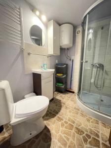 La salle de bains est pourvue de toilettes, d'un lavabo et d'une douche. dans l'établissement Noclegi nad jeziorem w Puszczy Zielonka, à Kamińsko