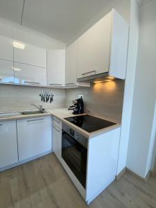 Kuchyň nebo kuchyňský kout v ubytování Cruiser Apartmanok Siófok By BLTN
