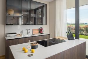 Kuchyň nebo kuchyňský kout v ubytování Design Villa Palmeta