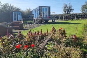 a view of a garden with a house and flowers at Celaeron Glamping in Aberaeron