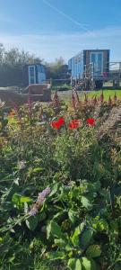 Gallery image of Celaeron Glamping in Aberaeron