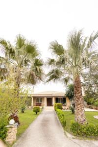 a house with palm trees in front of a driveway at Elpida's country house in Lefkimmi