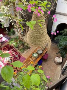 a garden with a basket of flowers and a plant at Riad Chocolat in Marrakech