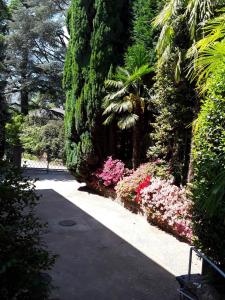 A garden outside Villa Coris Ferienwohnung Palma