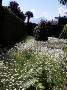 A garden outside Villa Coris Ferienwohnung Palma