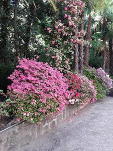 A garden outside Villa Coris Ferienwohnung Palma