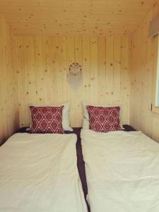 Duas camas num quarto com paredes de madeira em Schäferwagen Hygge nähe Reuss em Gisikon