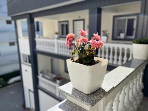 Balkón nebo terasa v ubytování Hotel Vila AARON