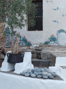 a potted tree and rocks in front of a building at Ble 1BR Vacation Home with Private Terrace in Chania Town