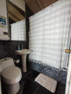 ein Badezimmer mit einem WC, einem Waschbecken und einem Duschvorhang in der Unterkunft Pingüino en la roca - Concón in Concón