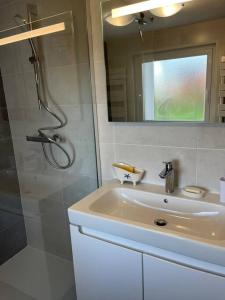 ein Bad mit einer Dusche, einem Waschbecken und einem Spiegel in der Unterkunft Kerletty, la mer, les embruns, à 250 m des plages in Plouguerneau