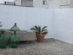 Tre vasi verdi seduti accanto a un muro con una pianta di TRE SORELLE AFFITTA CAMERE a Presicce