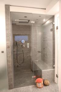 a shower with a glass door in a bathroom at Wohlfühloase mit Traumaussicht / sehr ruhige Lage in Brione sopra Minusio