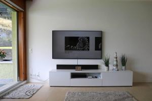 TV a/nebo společenská místnost v ubytování Wohlfühloase mit Traumaussicht / sehr ruhige Lage