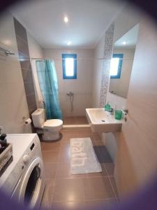 bagno con lavandino e servizi igienici e lavatrice. di La casa azul a Megalochori (Isola di Agistri)