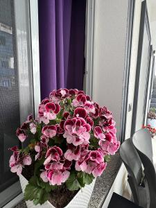 um ramo de flores cor-de-rosa sentado no peitoril da janela em Hotel Vila AARON em Durrës