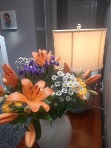 Foto sihtkohas Naas asuva majutusasutuse Killossy Lodge galeriist