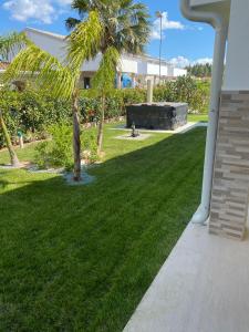 a green lawn with a palm tree and a building at TOT apartment in Policoro