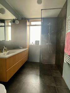 Ένα μπάνιο στο Modern and stylish house in heart of Reykjavik +11 φωτογραφίες