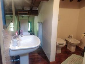 a bathroom with a sink and a toilet at B&B Il Casolare Di Bonci in Santa Maria a Monte