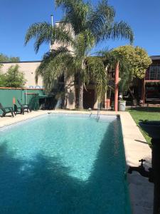 a swimming pool with a palm tree in a yard at Hotel Cristobal de Colón in Colón