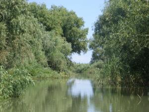 un río con árboles a su lado en Casa Oana, en Sulina