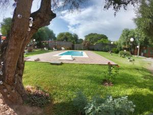 un patio con piscina y un árbol en Las Catalinas cabañas en San Fernando del Valle de Catamarca