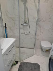 a bathroom with a shower with a toilet and a sink at Naujai įrengtas jaukus dviejų kambarių butas in Šiauliai