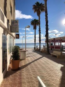 um passeio junto à praia com palmeiras em Duplex Penthouse em Calpe