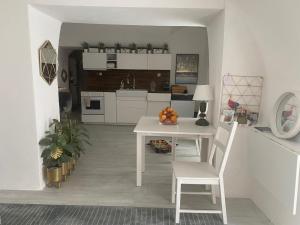 Kuchyň nebo kuchyňský kout v ubytování Apartman Fabrik