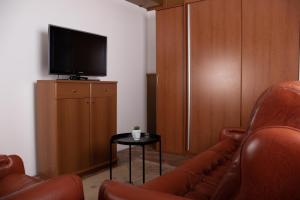 a living room with a couch and a television at Apartma-studio Ajdna in Žirovnica