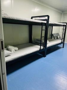 two bunk beds in a room with a blue floor at Camp Palo Bandera in Calatagan