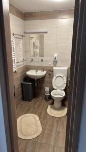 a bathroom with a toilet and a sink at Apartman Didi-free parking in Novi Sad