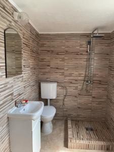 a bathroom with a toilet and a sink at Lakeview Apartments Jolicic in Virpazar