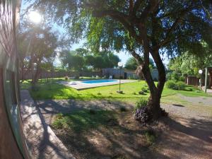 un árbol en un patio con piscina en Las Catalinas cabañas en San Fernando del Valle de Catamarca