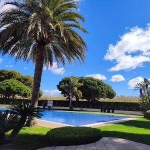 Una palmera sentada junto a una piscina en LuxuryCambrils Resort&Spa, en Cambrils