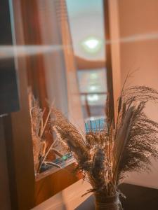 Fotografie z fotogalerie ubytování Aljur Hotel v destinaci Himare