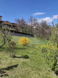 un campo de césped con árboles en el fondo en BeB Le Masere, en Castel dellʼAlpi
