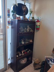 une étagère remplie de figurines devant un réfrigérateur dans l'établissement White Pine Motel, à Ely