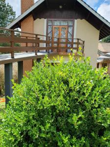 uma casa com varanda e um arbusto em frente em Recanto das Tirivas em Monte Verde