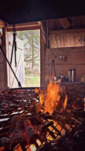 a grill with a fire in a room at Stary Bór in Murzasichle
