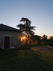 einen Sonnenuntergang hinter einem Baum neben einem Gebäude in der Unterkunft Les Trois Jolies 