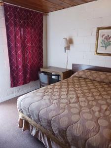 1 dormitorio con 1 cama grande y escritorio en White Pine Motel, en Ely