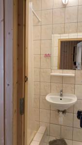 een badkamer met een wastafel en een spiegel bij Stary Bór in Murzasichle