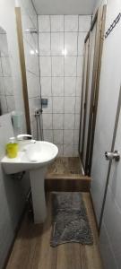 ein Badezimmer mit einem weißen Waschbecken und einer Dusche in der Unterkunft EL ROBLE 2.0 CHILLAN in Chillán