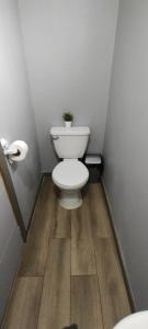 a bathroom with a toilet with a plant on it at EL ROBLE 2.0 CHILLAN in Chillán