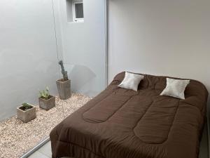聖佩德羅的住宿－Estudio，卧室内的一张床位,配有两个枕头